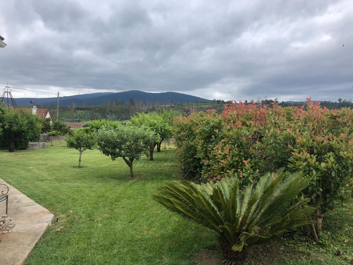 Vila Delfina Lousã Εξωτερικό φωτογραφία