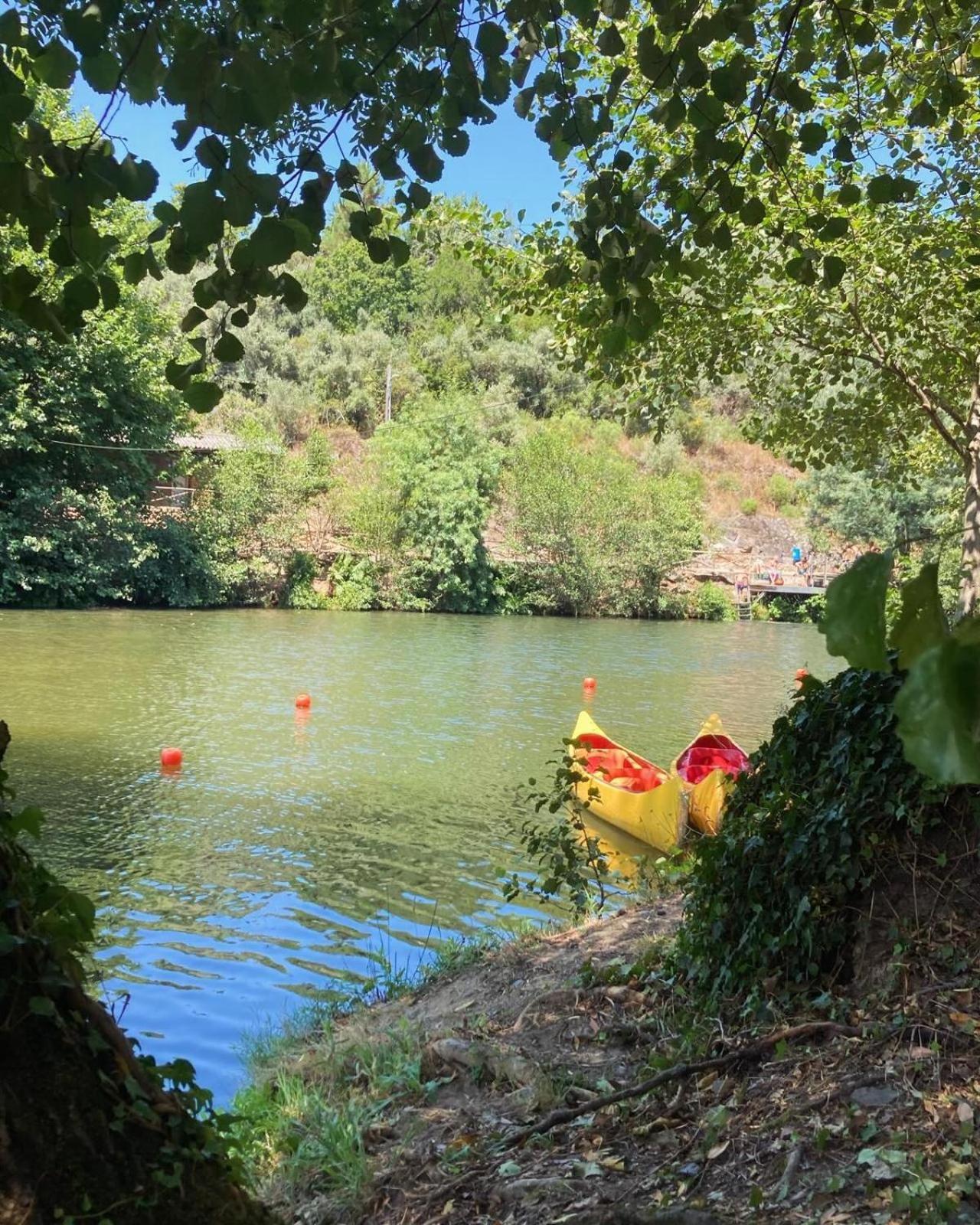 Vila Delfina Lousã Εξωτερικό φωτογραφία